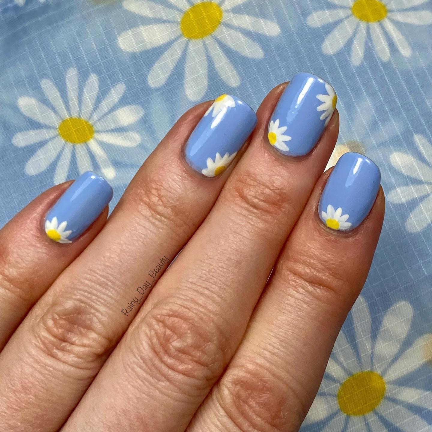 Baby Blue Nails With Flowers