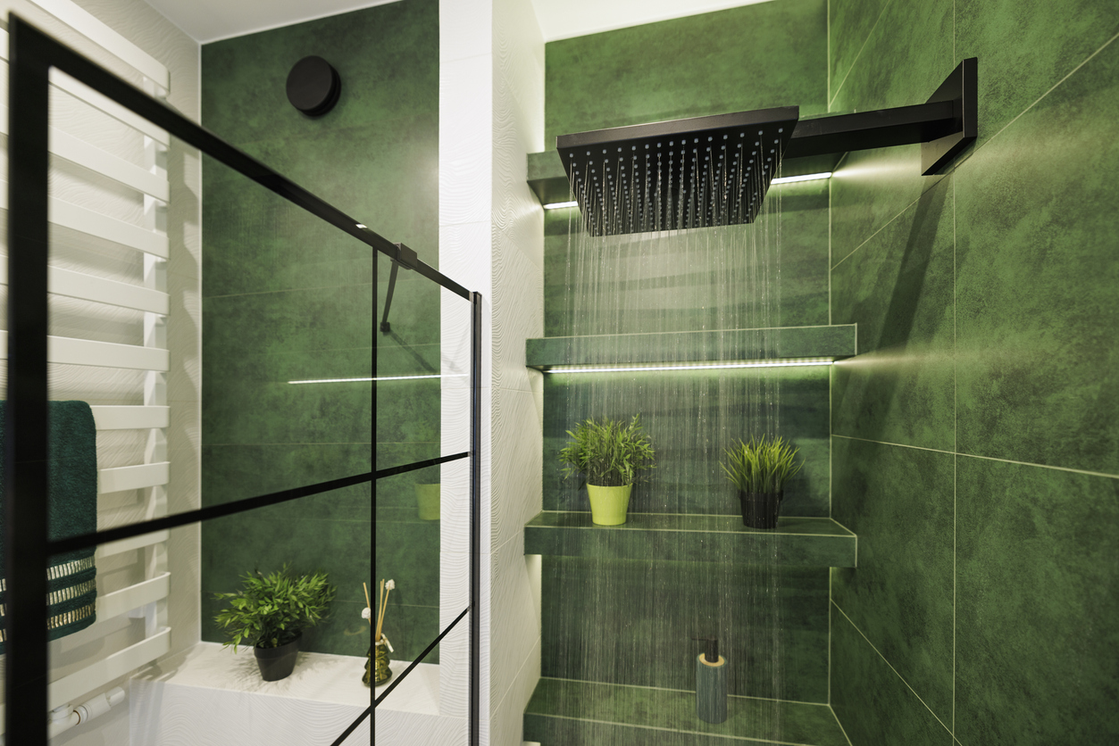 Creative Ways to Display Your Shower Plants
