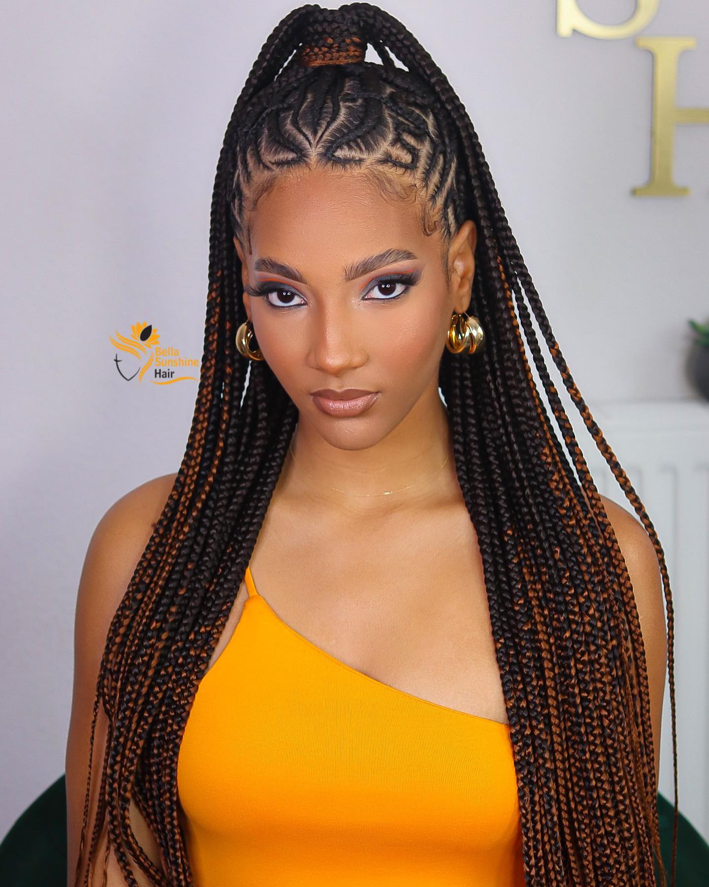 Fulani Braids Half Up Half Down