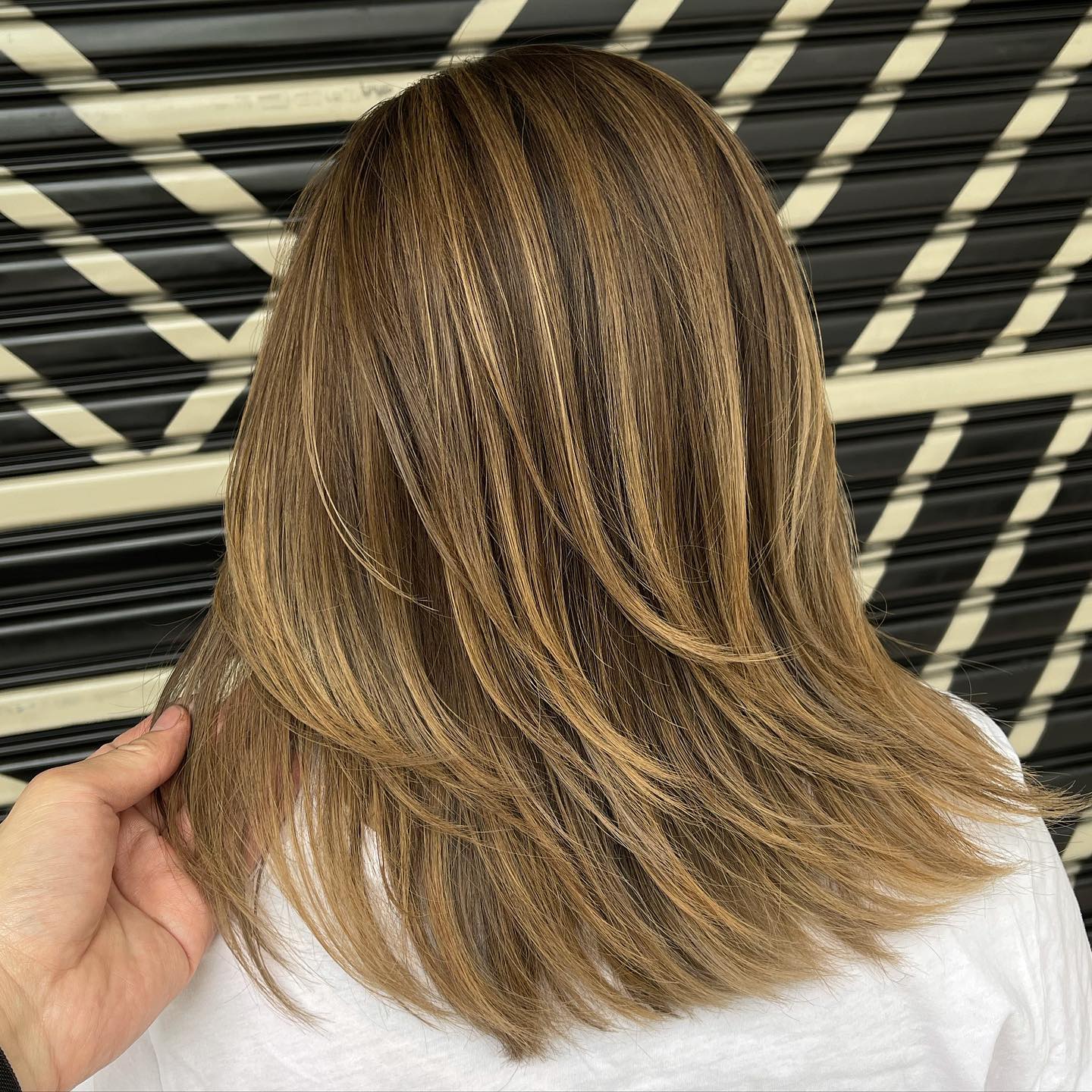 Honey Brown Hair with Blonde Highlights