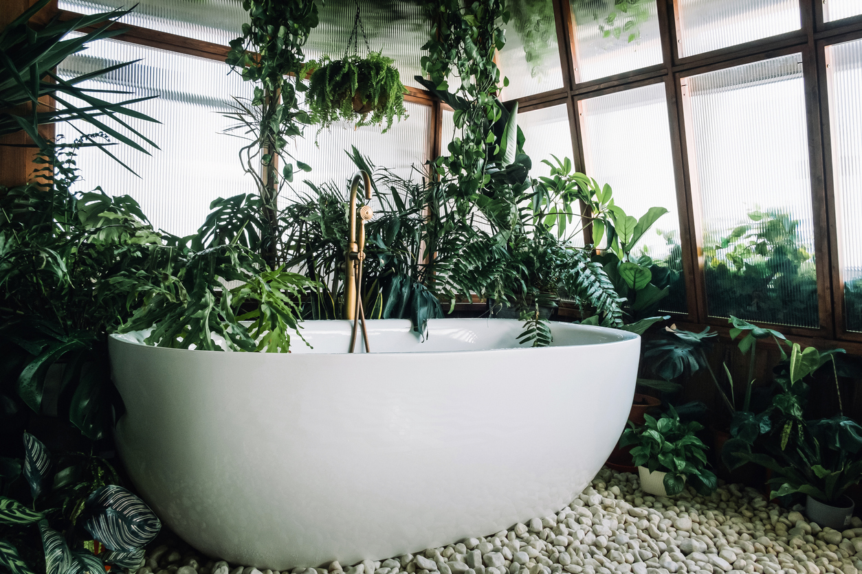 How to Care for Your Shower Plants
