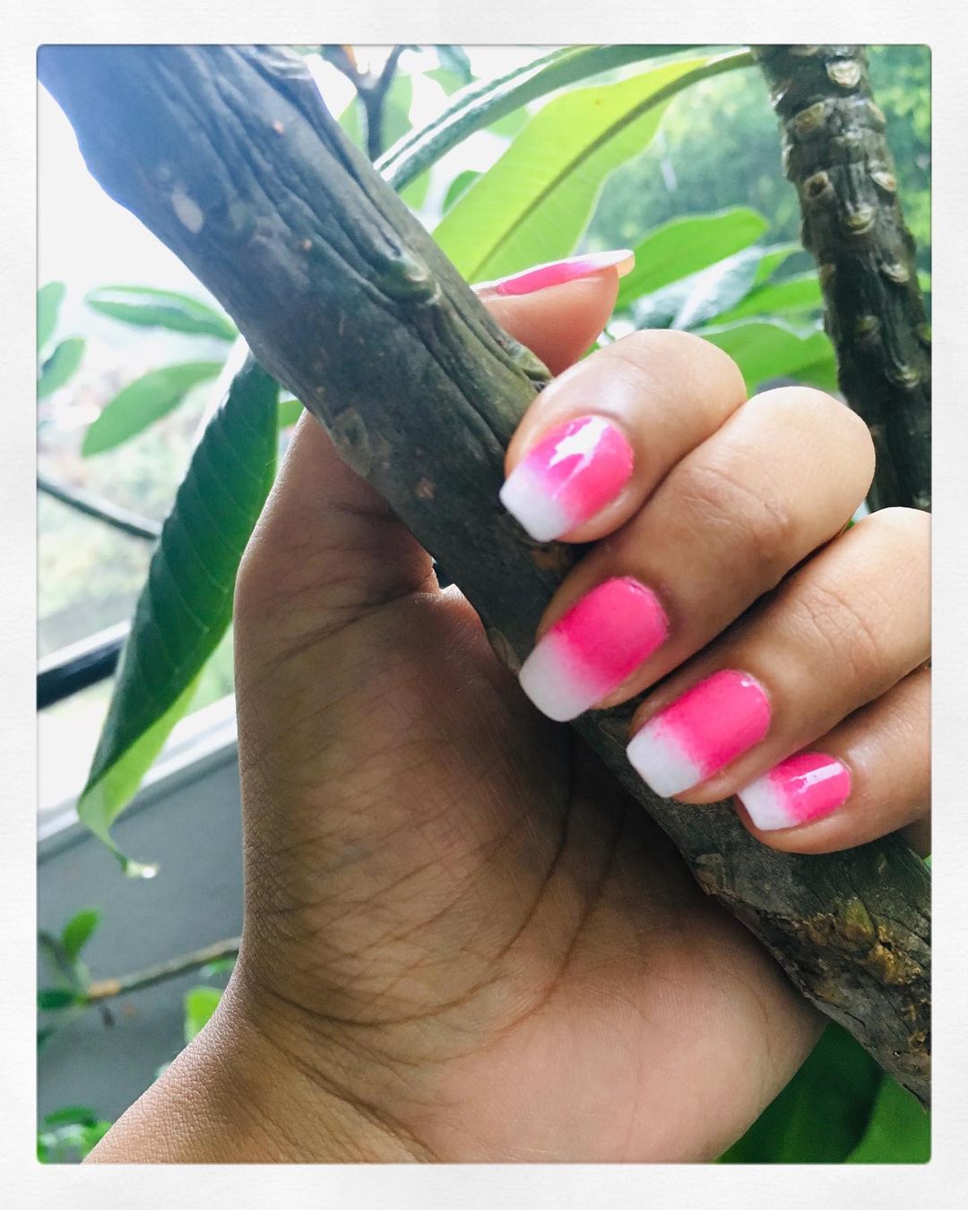 Ombre Hot Pink and White Nails