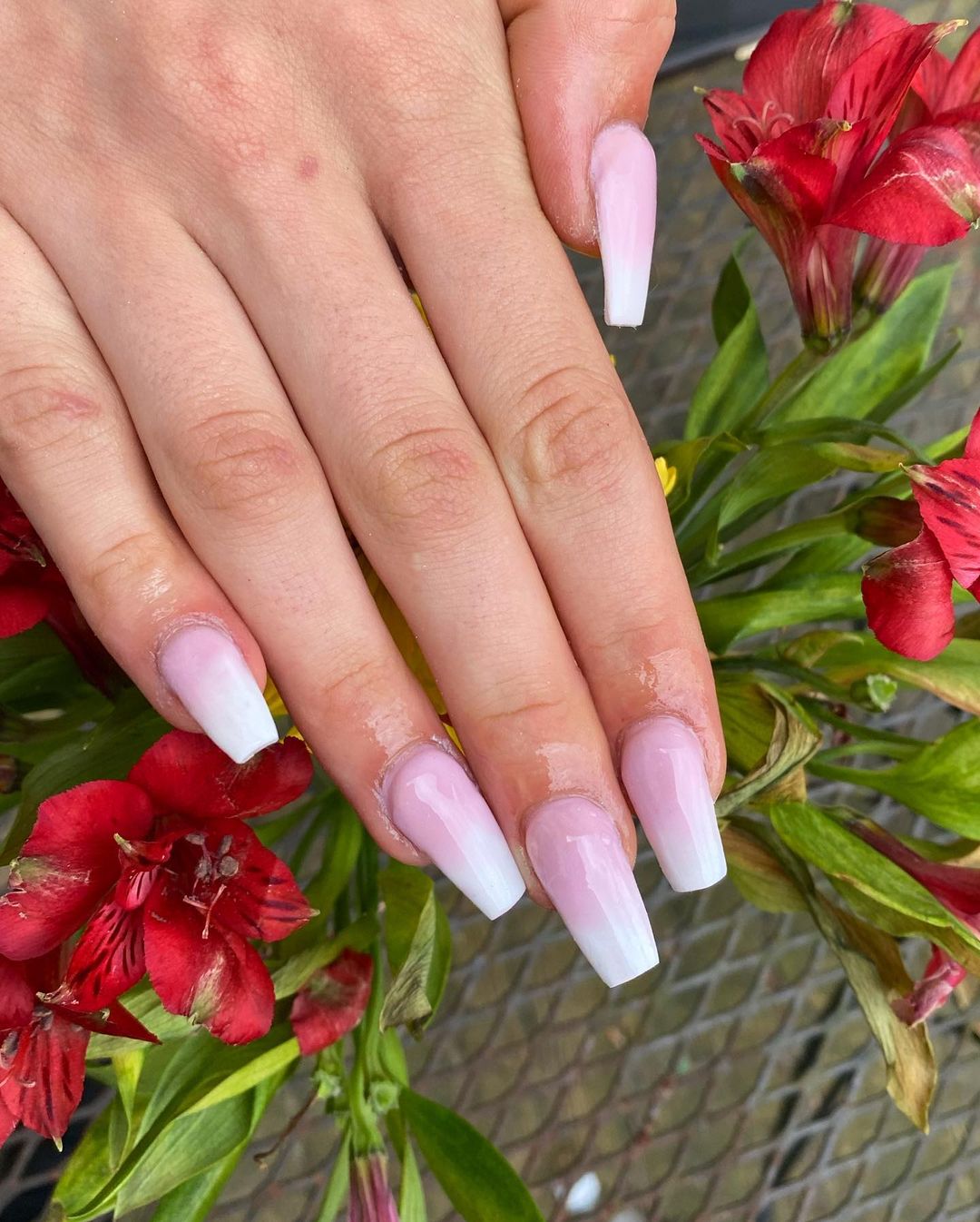 Ombre Nails Pink To White